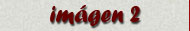 im&aacute;gen 2